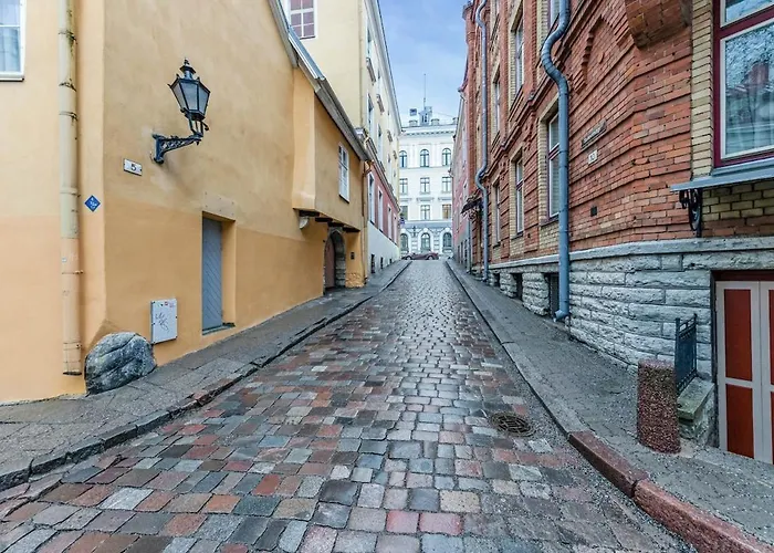 Cozy Nest In The Old Town